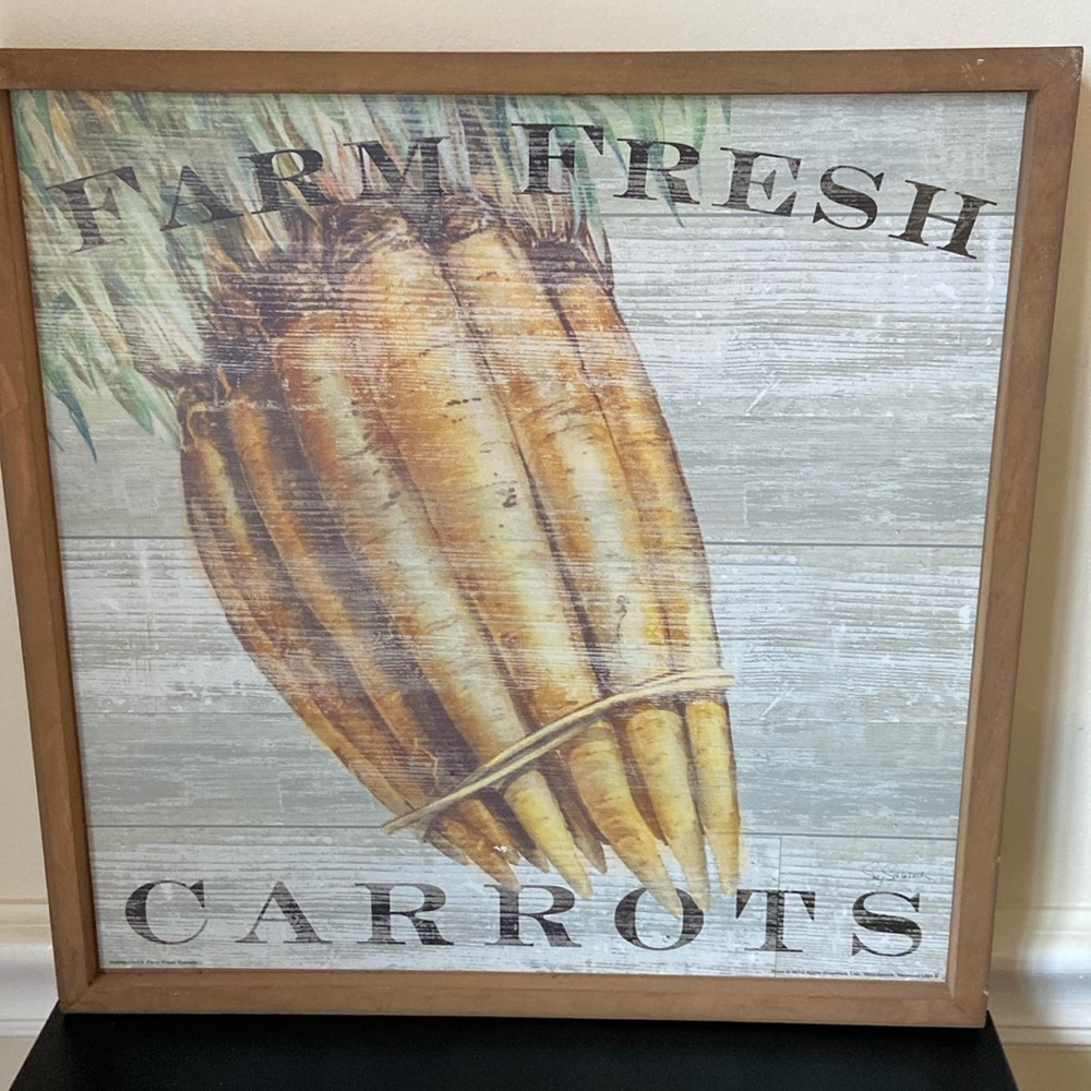 Pier 1 Farm Fresh Salad Greens and Carrots Wall Art